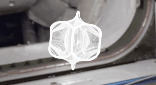 A soft cell, filled with water, in microgravity.