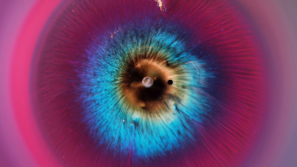 From &quot;Space Iris&quot; by Ruslan Khasanov.