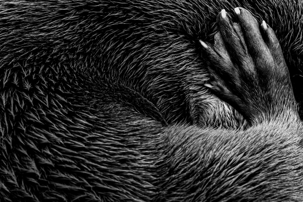 "Spiralling Textures" by Ben Dalgleish