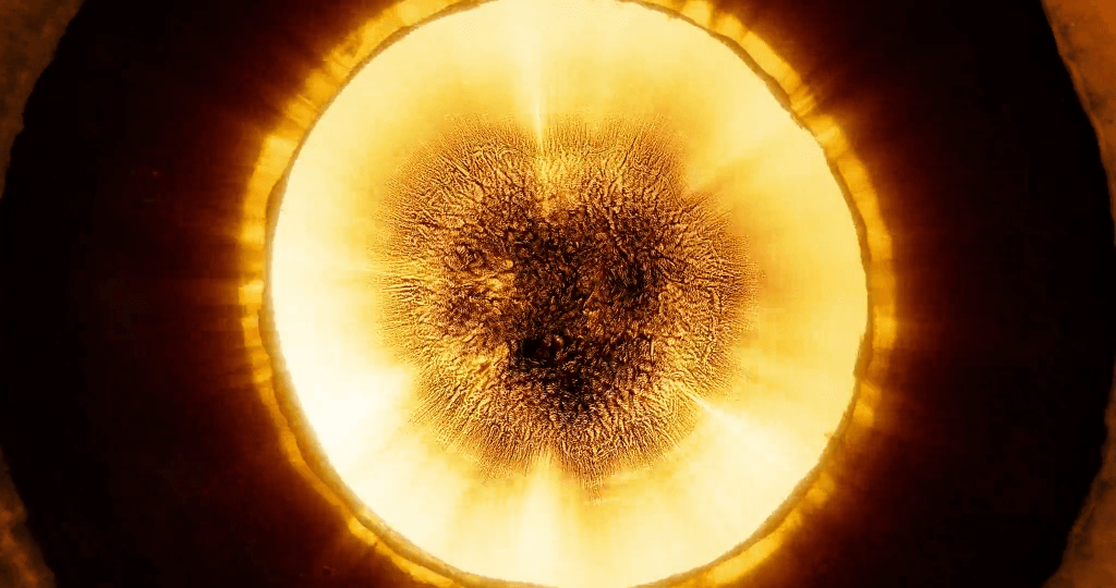 From "Stellar Iris" by Thomas Blanchard.