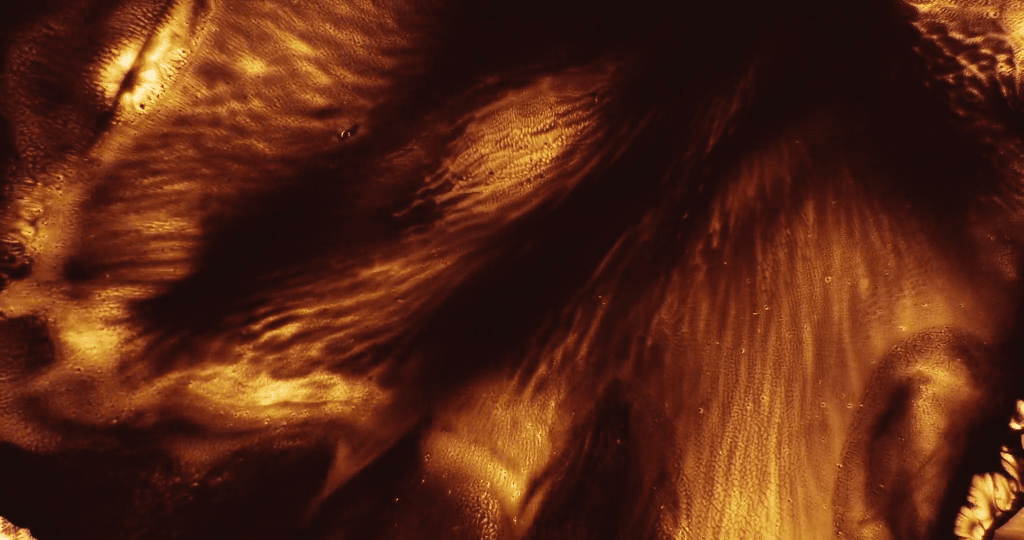 From "Stellar Iris" by Thomas Blanchard.
