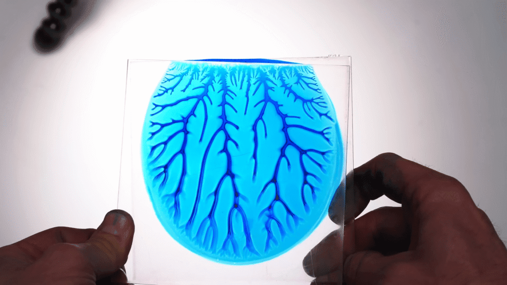 Branching viscous fingers formed by air pushing into blue-dyed PVA glue held between two clear pieces of acrylic being pulled apart. Branching viscous fingers formed by air pushing into blue-dyed PVA glue held between two clear pieces of acrylic being pulled apart.