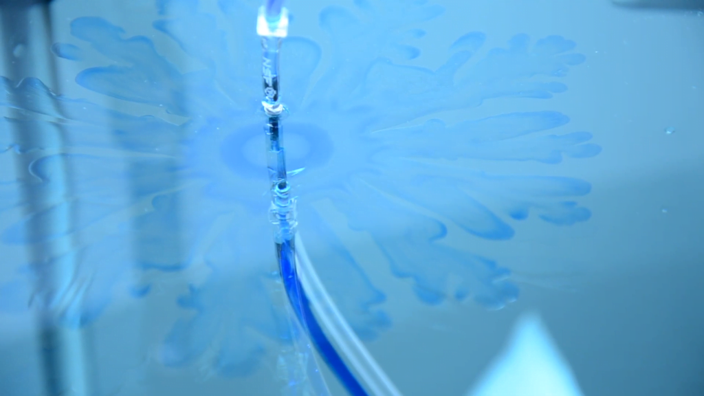 Viscous fingers spread as a less viscous fluid is injected into a viscous fluid trapped between two plates. Viscous fingers spread as a less viscous fluid is injected into a viscous fluid trapped between two plates.