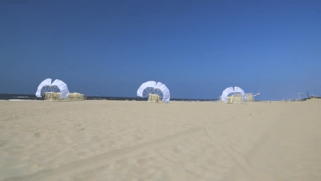 Three strandbeests gallumph across the sand.