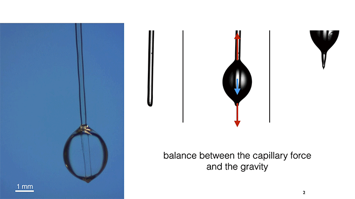 Droplets Can Climb Sugar Fibers