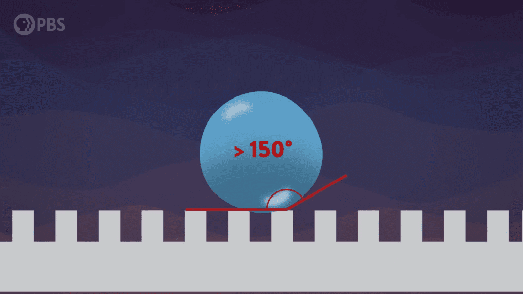 This small-scale roughness encourages water to stick to itself rather than the surface, creating superhydrophobicity.