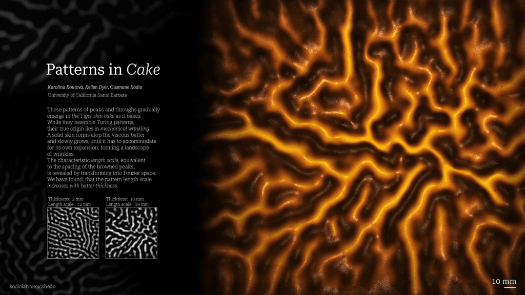 Research poster showing the wrinkling pattern formed on a tiger skin cake.