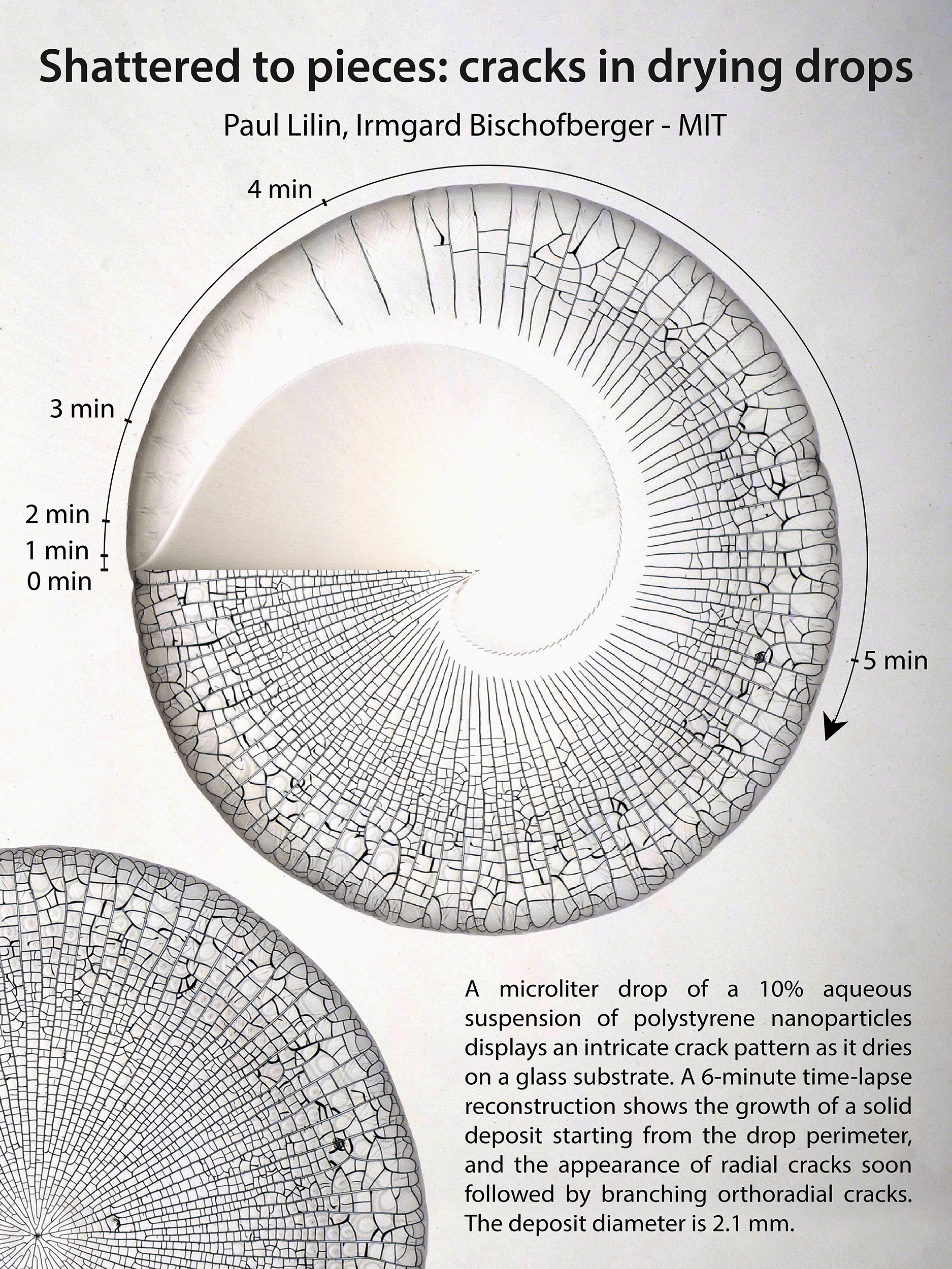 A drying droplet filled with nanoparticles cracks as the liquid evaporates.