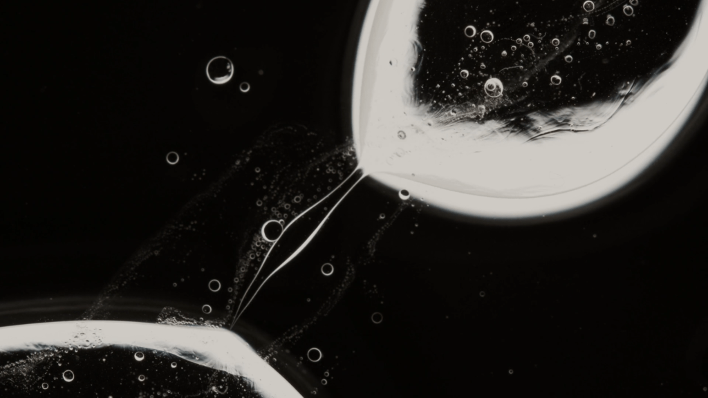 From &quot;Titan&quot; by the Julia Set Lab.