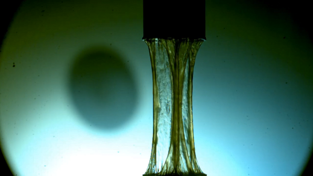 The saliva is extremely shear-thinning, able to go from the viscosity of honey to water and back in a fraction of a second. The saliva is extremely shear-thinning, able to go from the viscosity of honey to water and back in a fraction of a second.