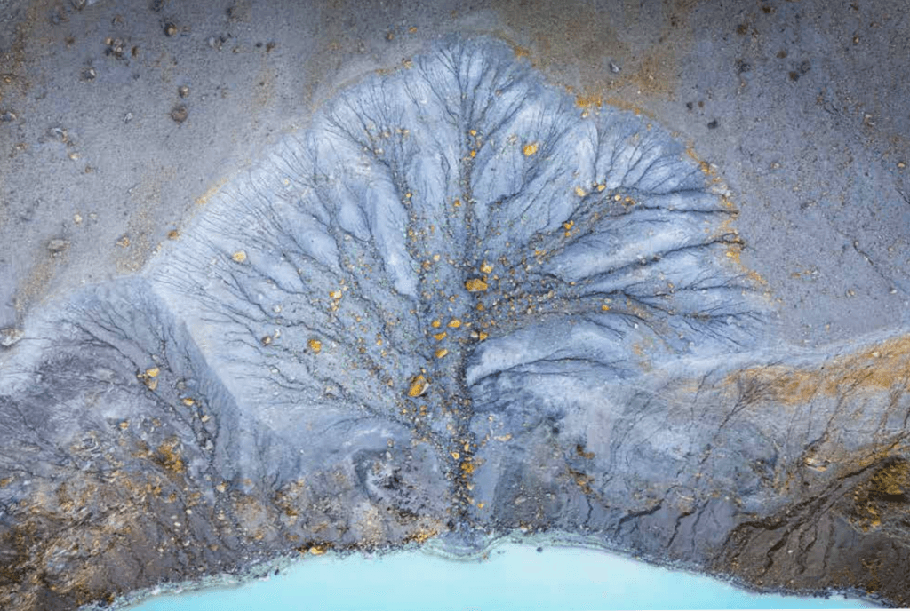"Tree of Ashes"