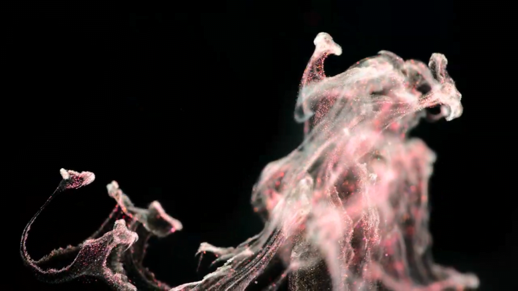 From &quot;Turbulence&quot; by Roman De Giuli.