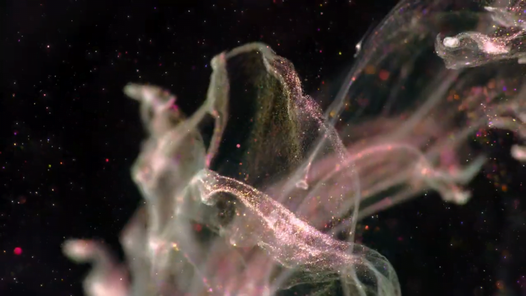 From "Turbulence" by Roman De Giuli. From "Turbulence" by Roman De Giuli.