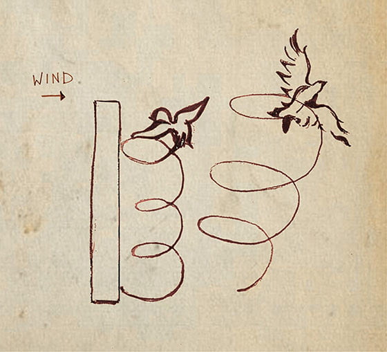 Open Call for the Traveling Gallery of Fluid Motion