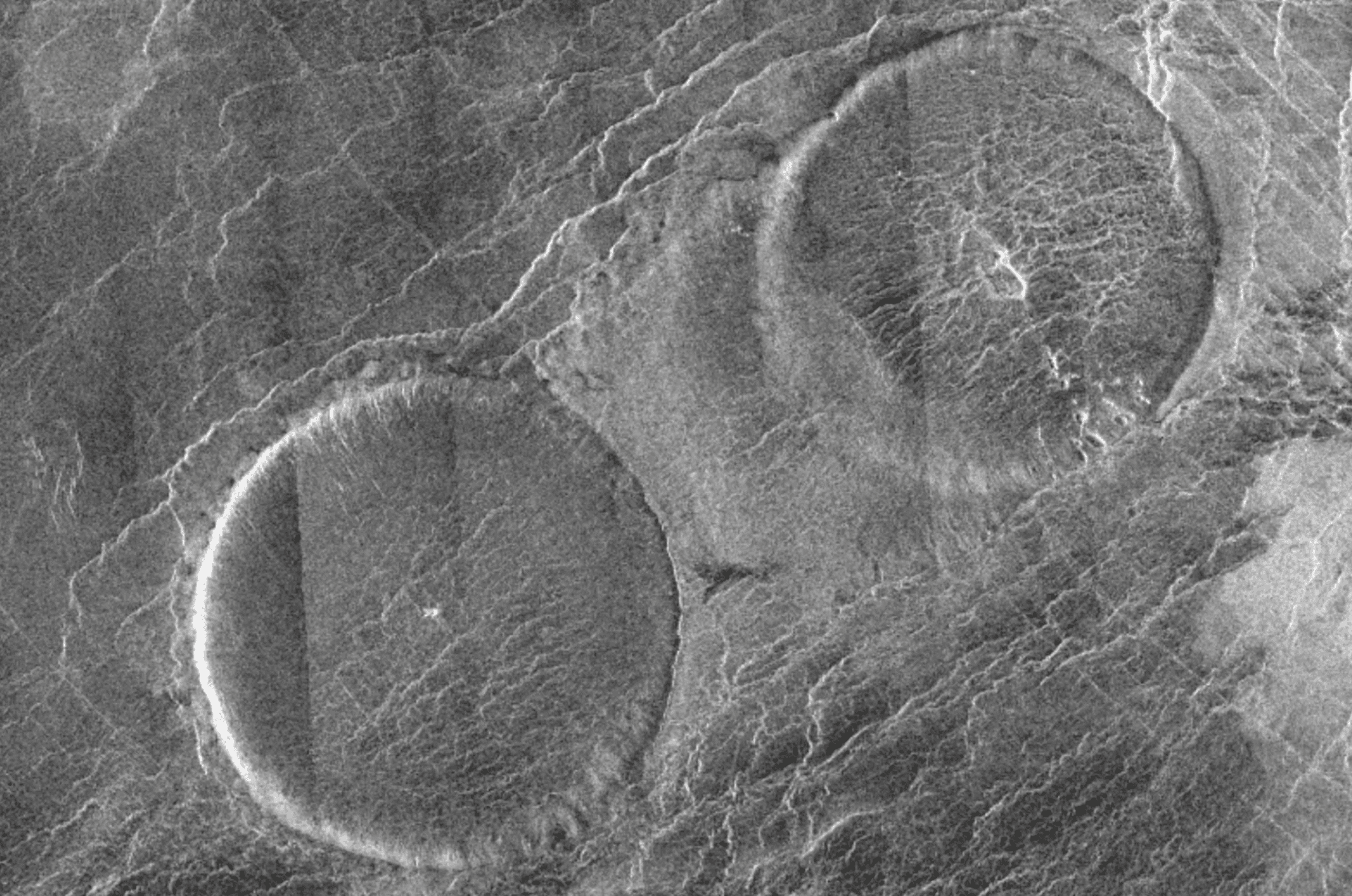 Venusian Gravity Currents