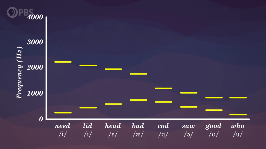 Because those shape changes emphasize different frequencies, we can easily distinguish each vowel. Because those shape changes emphasize different frequencies, we can easily distinguish each vowel.