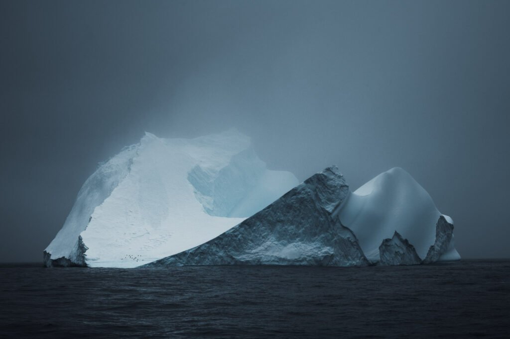 Photo by Jan Erik Waider. Photo by Jan Erik Waider.
