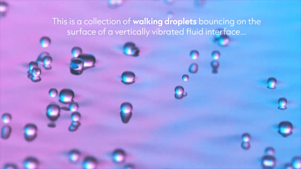 Droplets bouncing on a vibrating fluid surface. Text reads, "This is a collection of walking droplets bouncing on the surface of a vertically vibrated fluid interface..."
