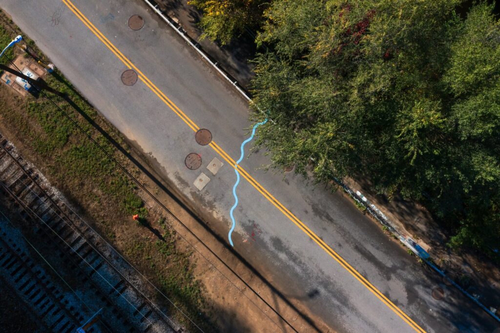 Photo by Frank Hamilton.