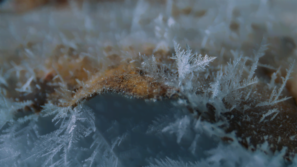 From "Winter" by Jamie Scott.