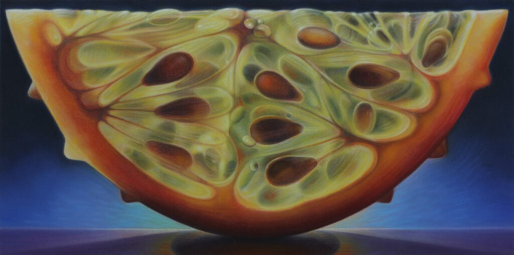 Horn Melon Series #6